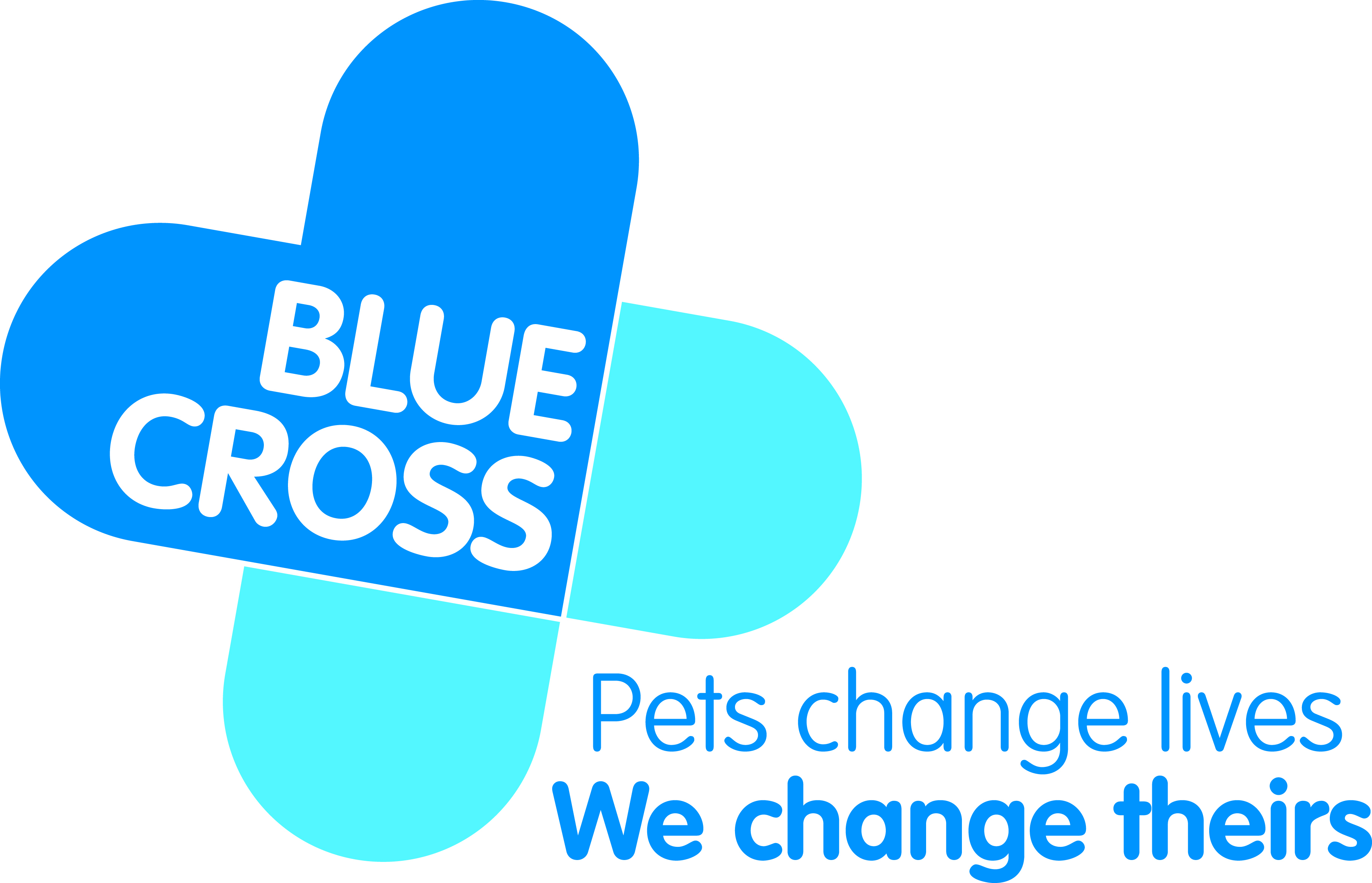 Blue Cross Funding logo